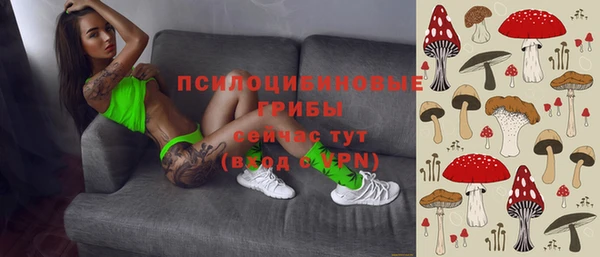 молекула духа Балахна