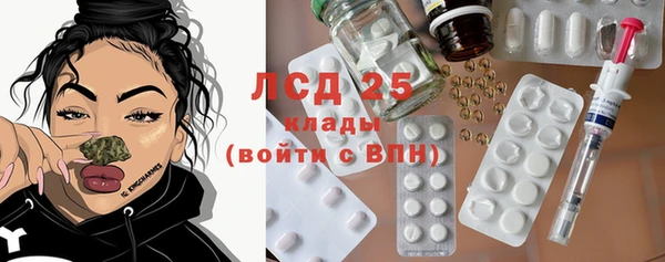 стаф Баксан